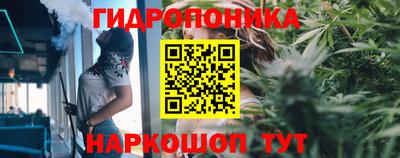 ешки Пенза