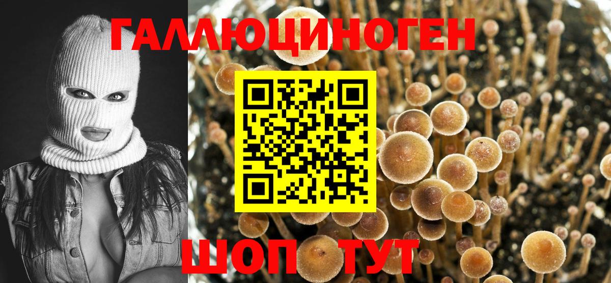 Псилоцибиновые грибы Magic Shrooms Соль-Илецк